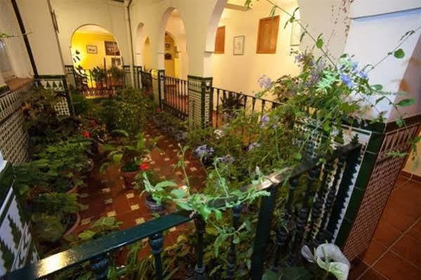 Hostal San Juan 살로브레나 외부 사진